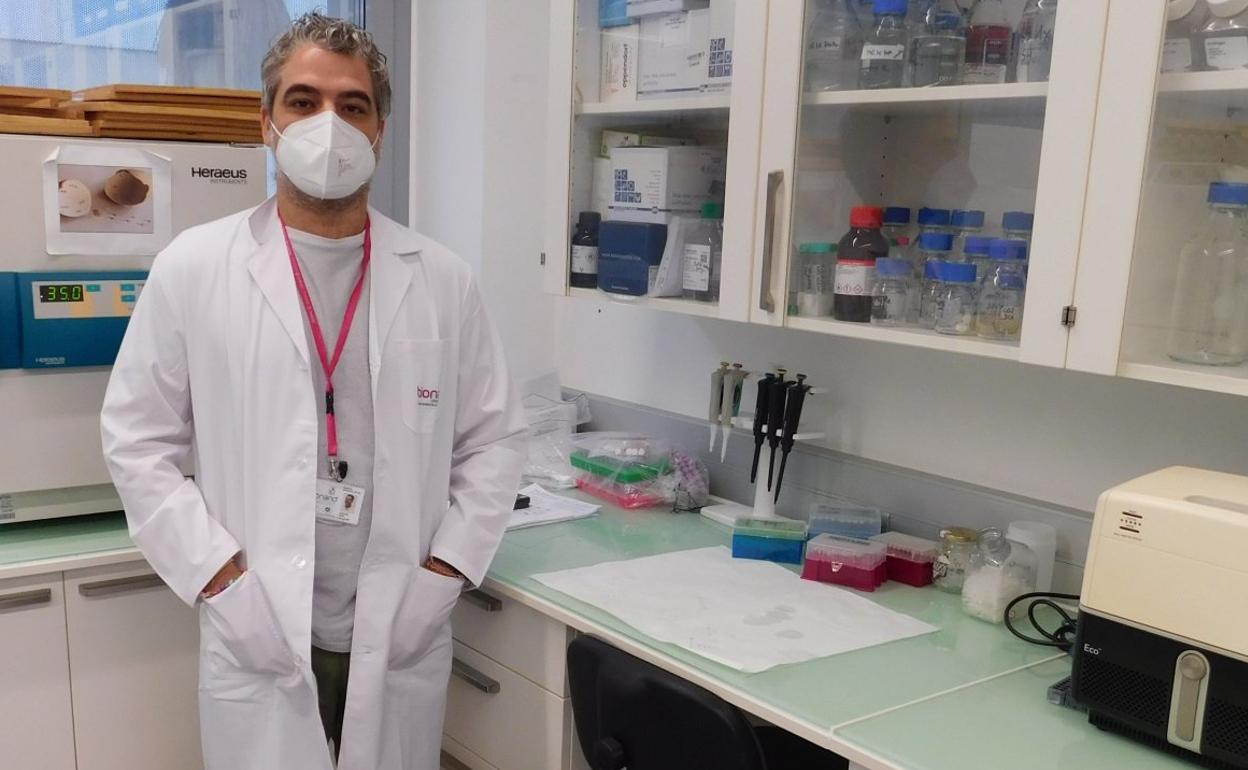 Una investigación de la UMA descubre unas células que reparan tras un infarto