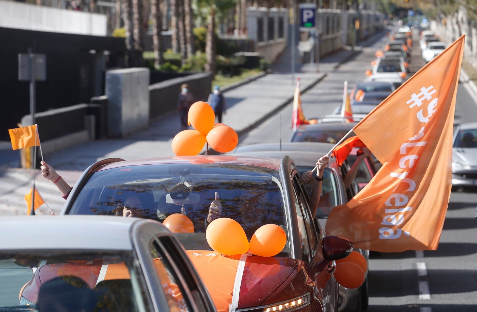 Convocada por la plataforma Más libres, Más plurales, Más iguales -reúne a centros privados y privados concertados- profesores, padres y ciudadanos se han montado en sus vehículos para denunciar esta nueva ley educativa.
