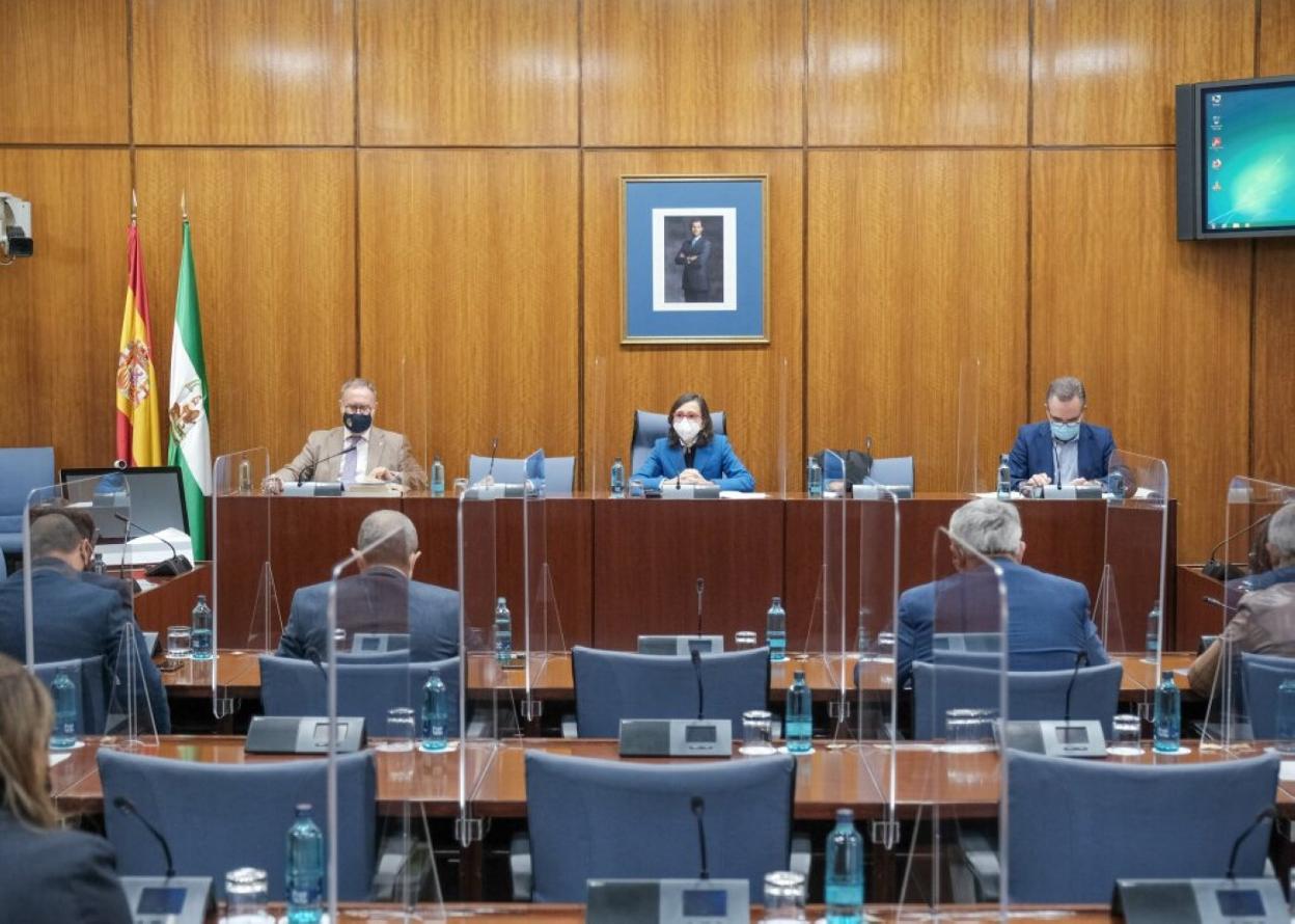 Comparecencia de los agentes sociales en la comisión de Hacienda del Parlamento celebrada ayer. sur