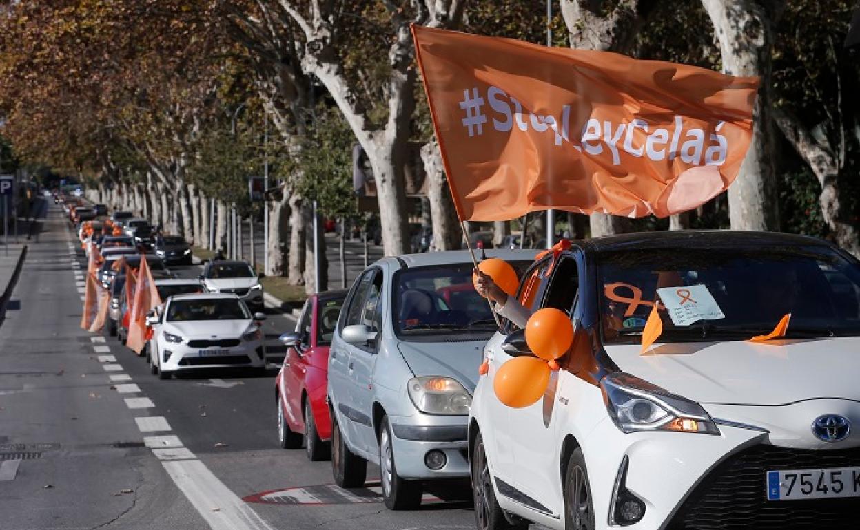 Una imagen tomada durante la protesta contra la 'ley Celaá' del pasado domingo. 