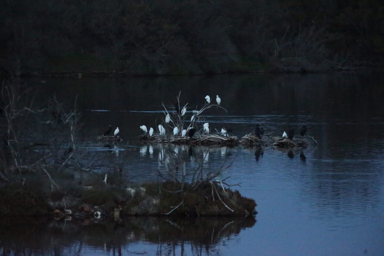 El última eclipse lunar del año convierte al paraje natural en el escenario de un embriagador juego de luces. En ningún otro punto de Europa se pueden ver tantas especies de aves en un espacio tan reducido