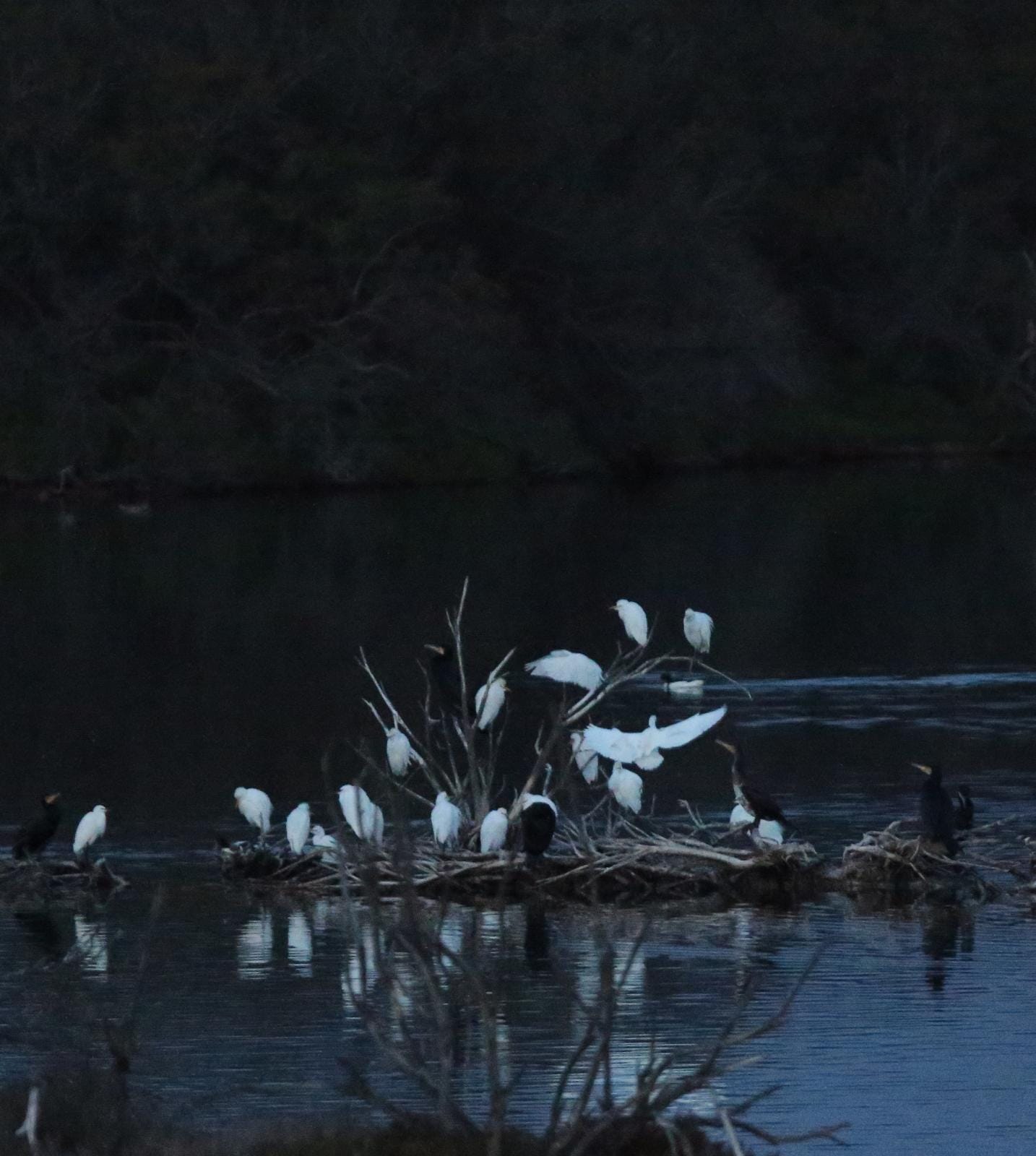 El última eclipse lunar del año convierte al paraje natural en el escenario de un embriagador juego de luces. En ningún otro punto de Europa se pueden ver tantas especies de aves en un espacio tan reducido