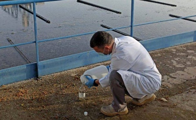 Un técnico de Emasa recoge una muestra en la depuradora del Guadalhorce. 