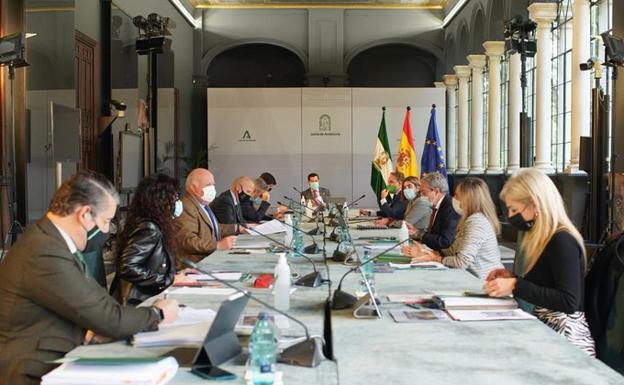 Reunión de la Junta y el comité de expertos en Andalucía. 