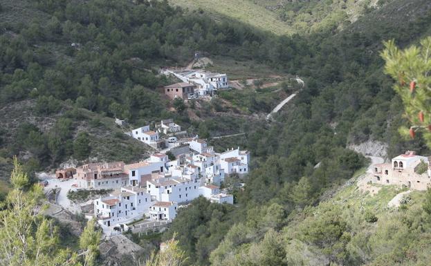 El Acebuchal está junto a un denso bosque.