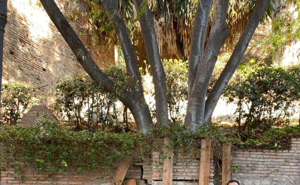 Doña y Pérez, en el paseo Juan Temboury, con un muro apuntalado.