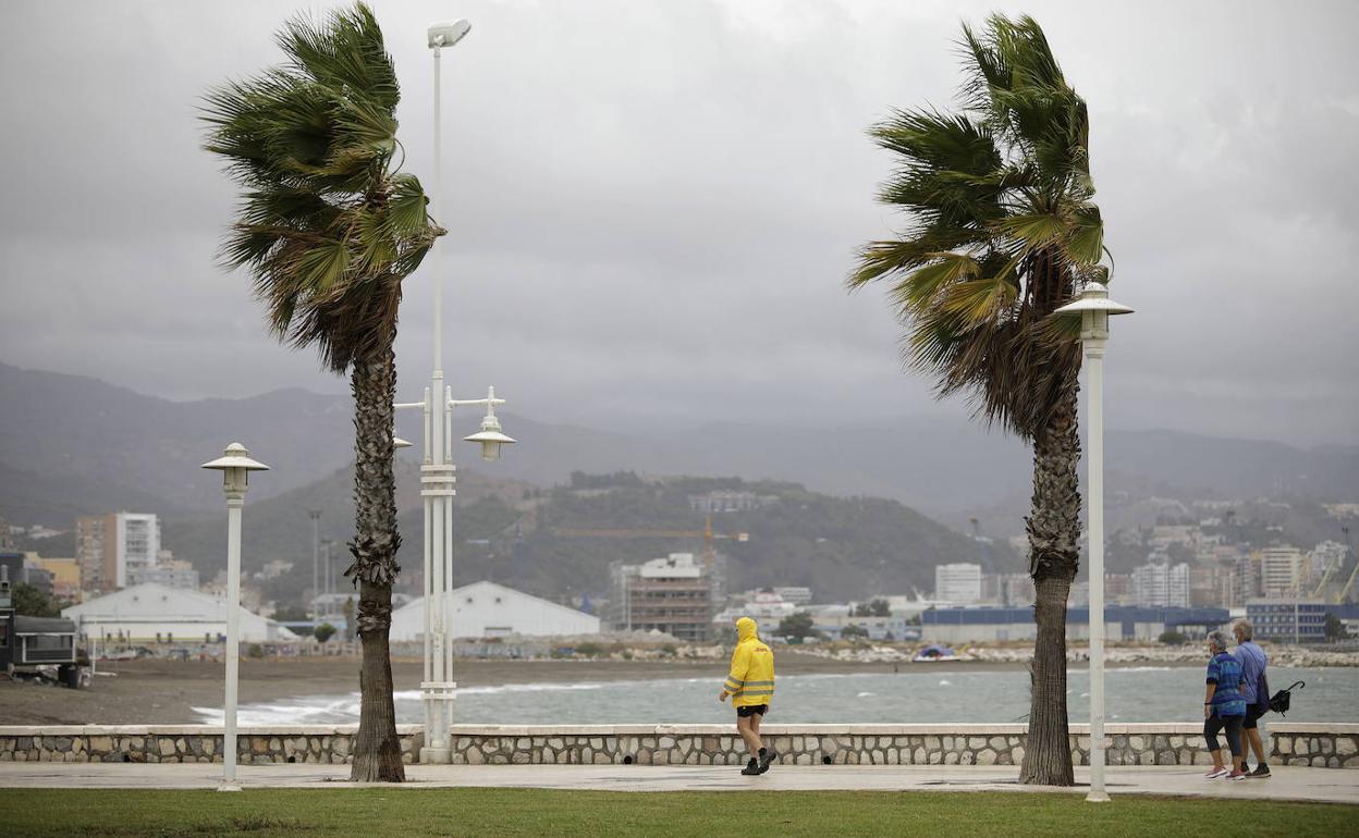 Málaga despedirá el año con viento y bajas temperaturas. 