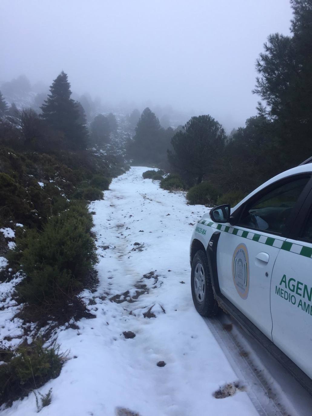 Sierra de las Nieves, este jueves.