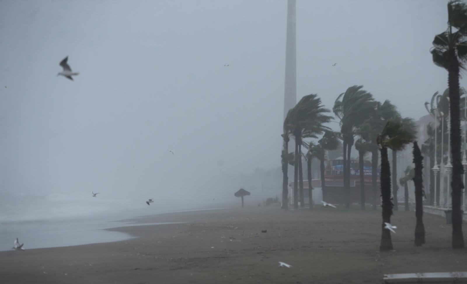 La borrasca Filomena, a su paso por la capital malagueña, este viernes 8 de enero