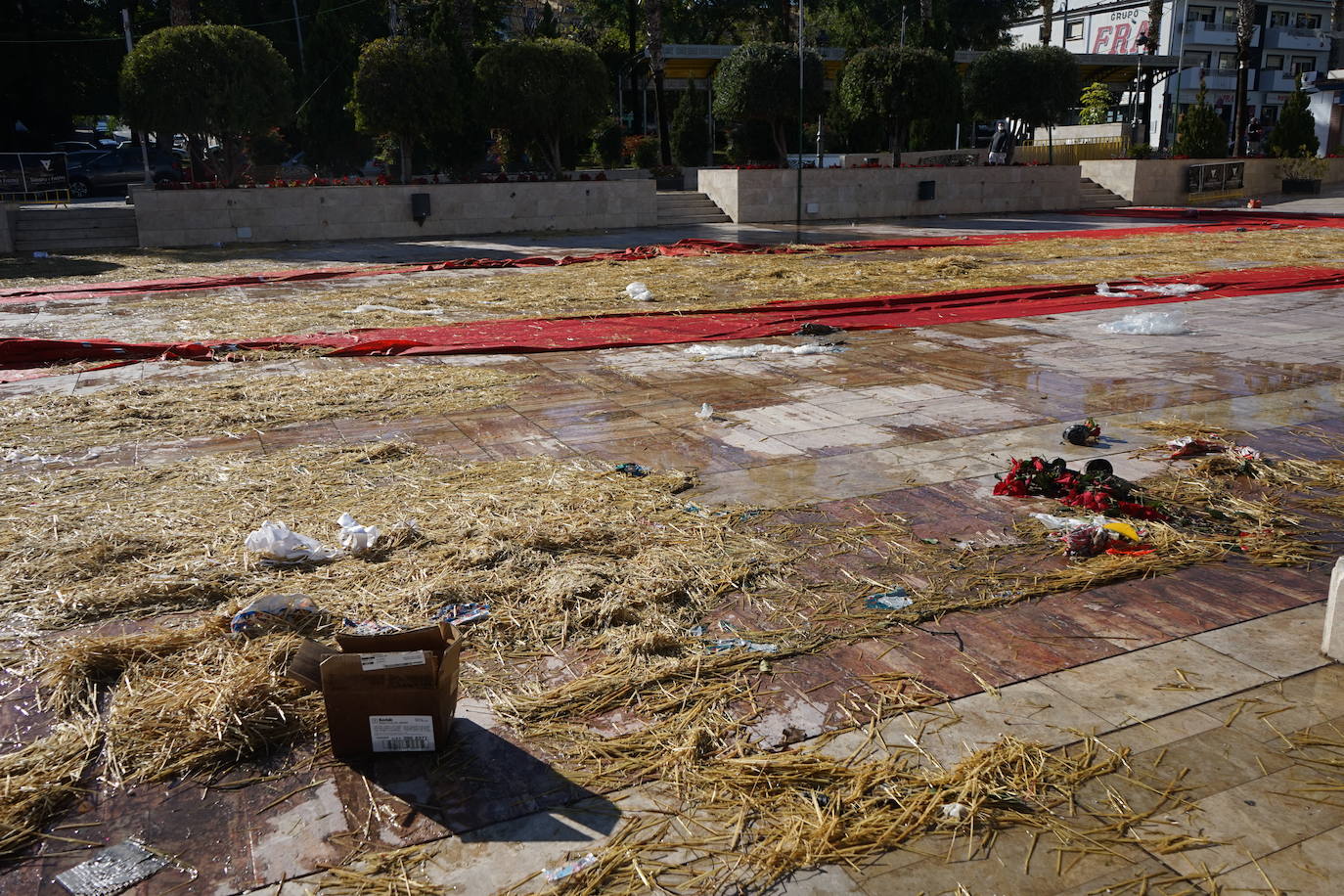 Así ha amanecido Alhaurín de la Torre, uno de los municipios más afectados por la borrasca.