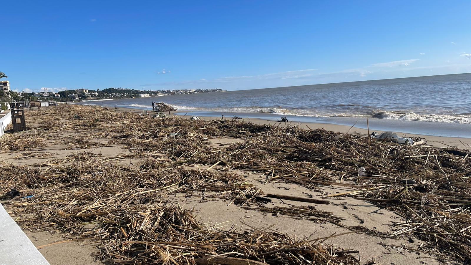 Estampa este sábado en una playa de La Cala.