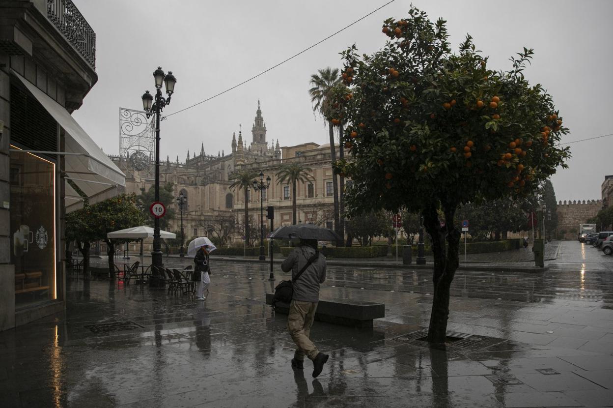 El temporal de lluvia y frío se dejó sentir ayer en Sevilla. e. p.