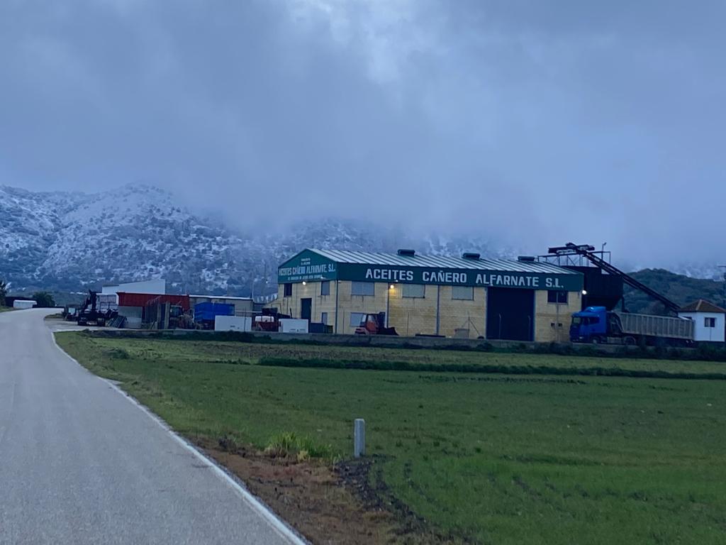 Nieve en Alfarnate.