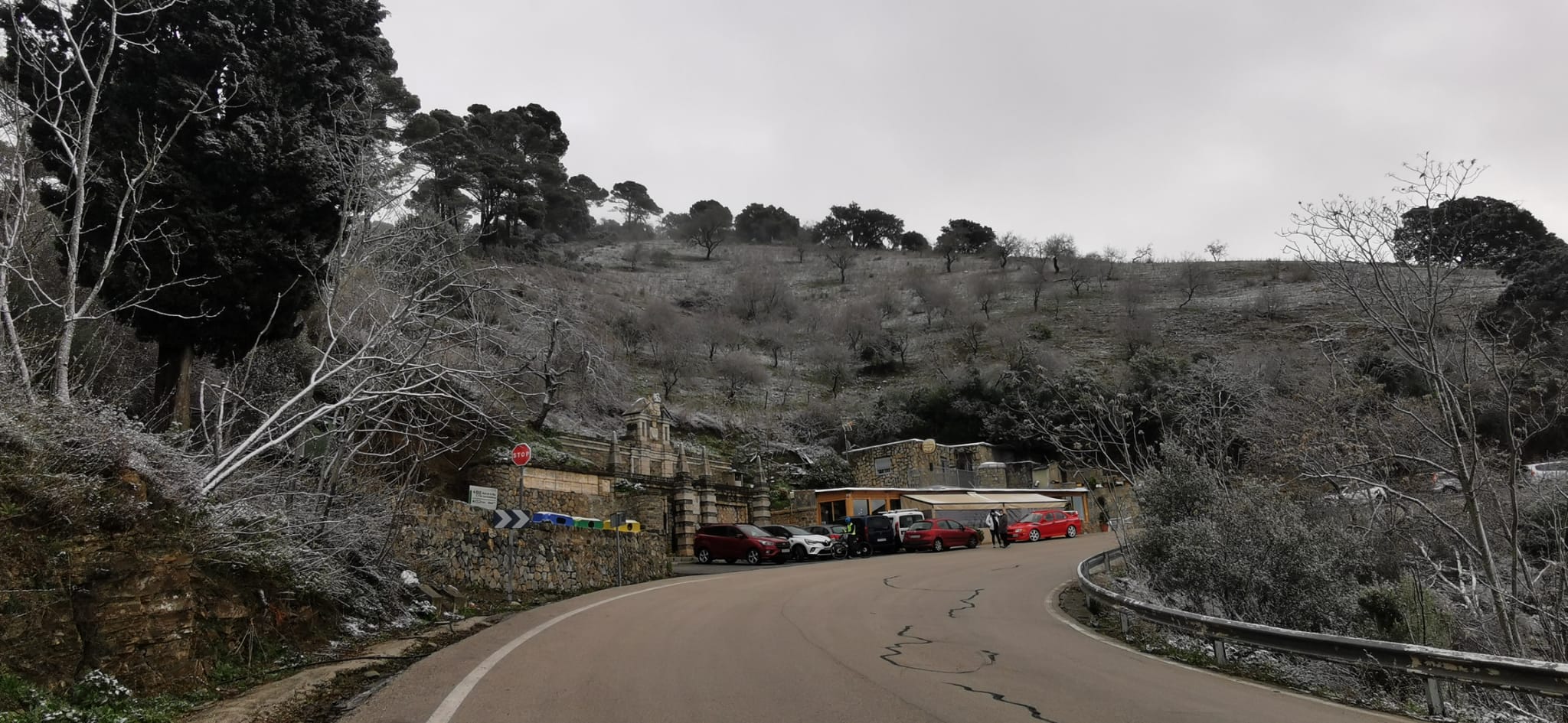 Nieve en los Montes de Málaga.