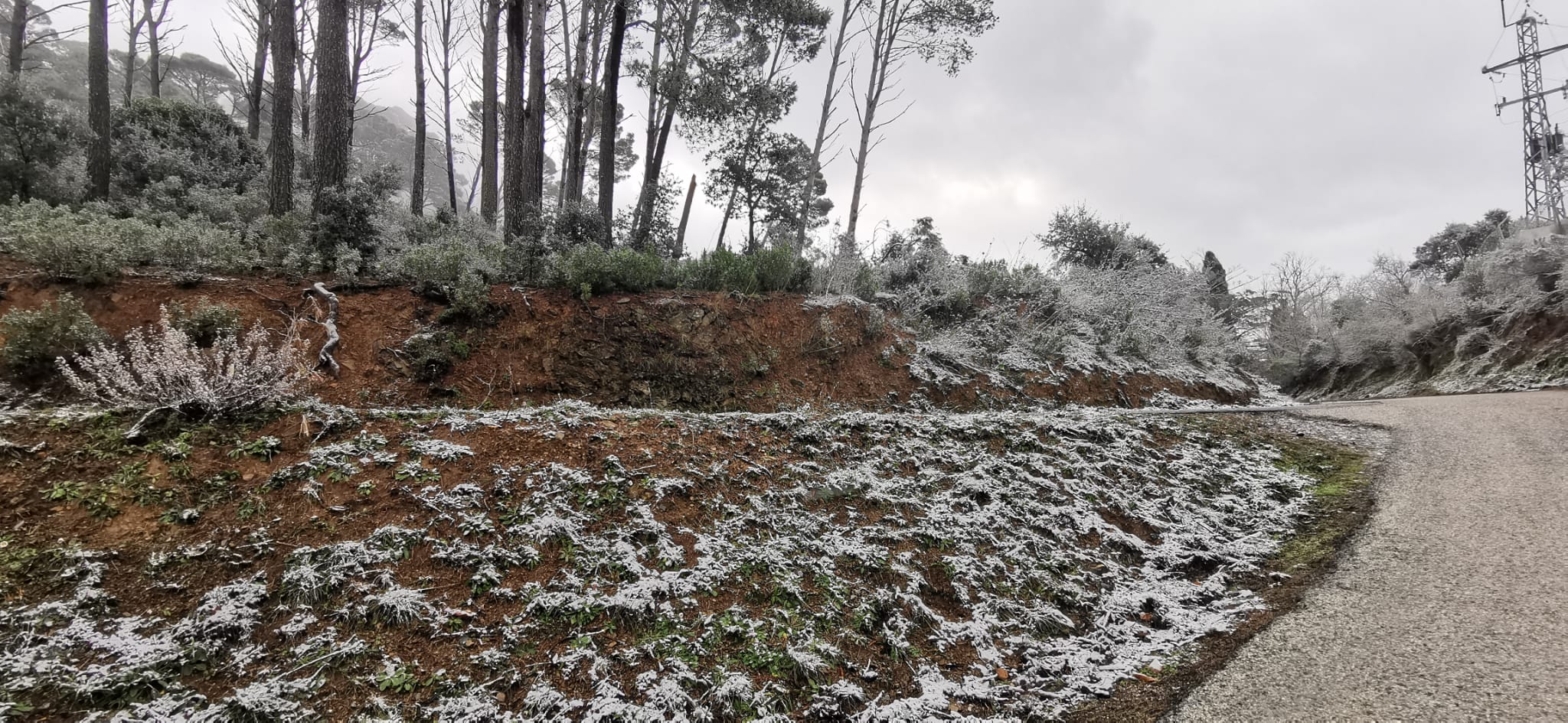 Nieve en los Montes de Málaga.