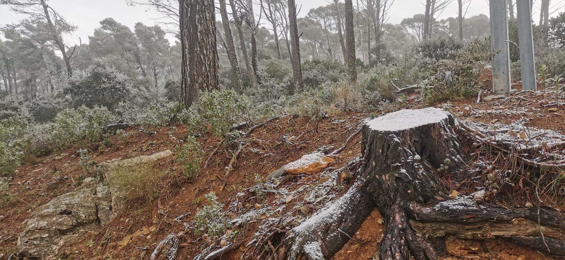 Nieve en los Montes de Málaga.