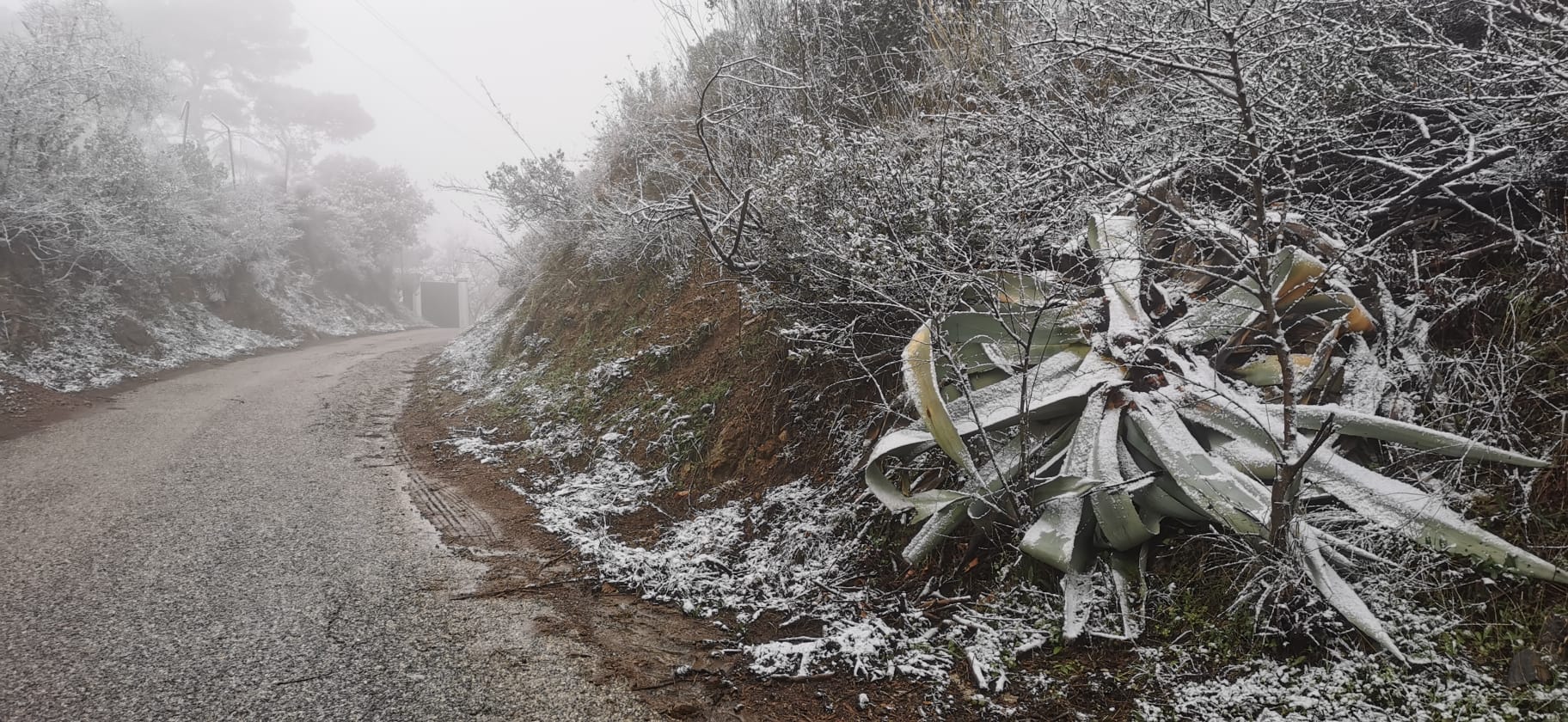 Nieve en los Montes de Málaga.