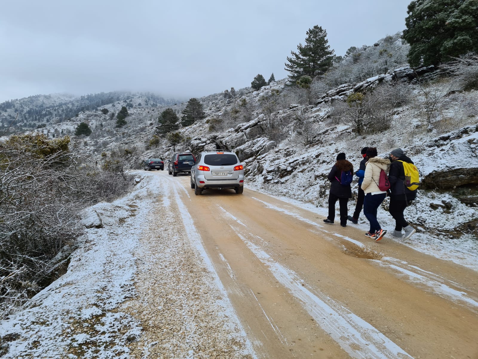 Nevada en la Sierra de las Nieves