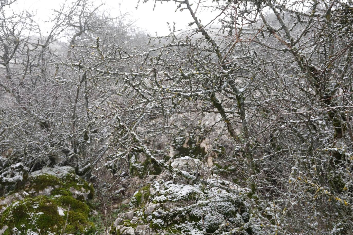 Nieve en el Torcal de Antequera este domingo