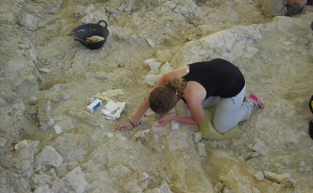 Excavación de un macho gigante de mammuthus meridionalis en Fuente Nueva 3, donde también apareció el pequeño carnivoro. 