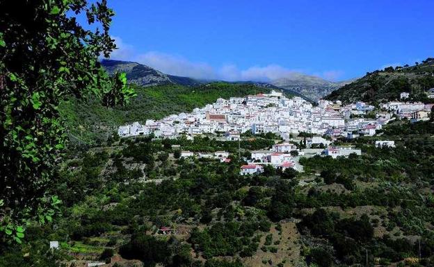 Casos confirmados, curados y fallecidos por COVID-19 en Canillas de Albaida