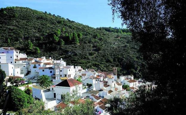 Casos confirmados, curados y fallecidos por COVID-19 en Salares