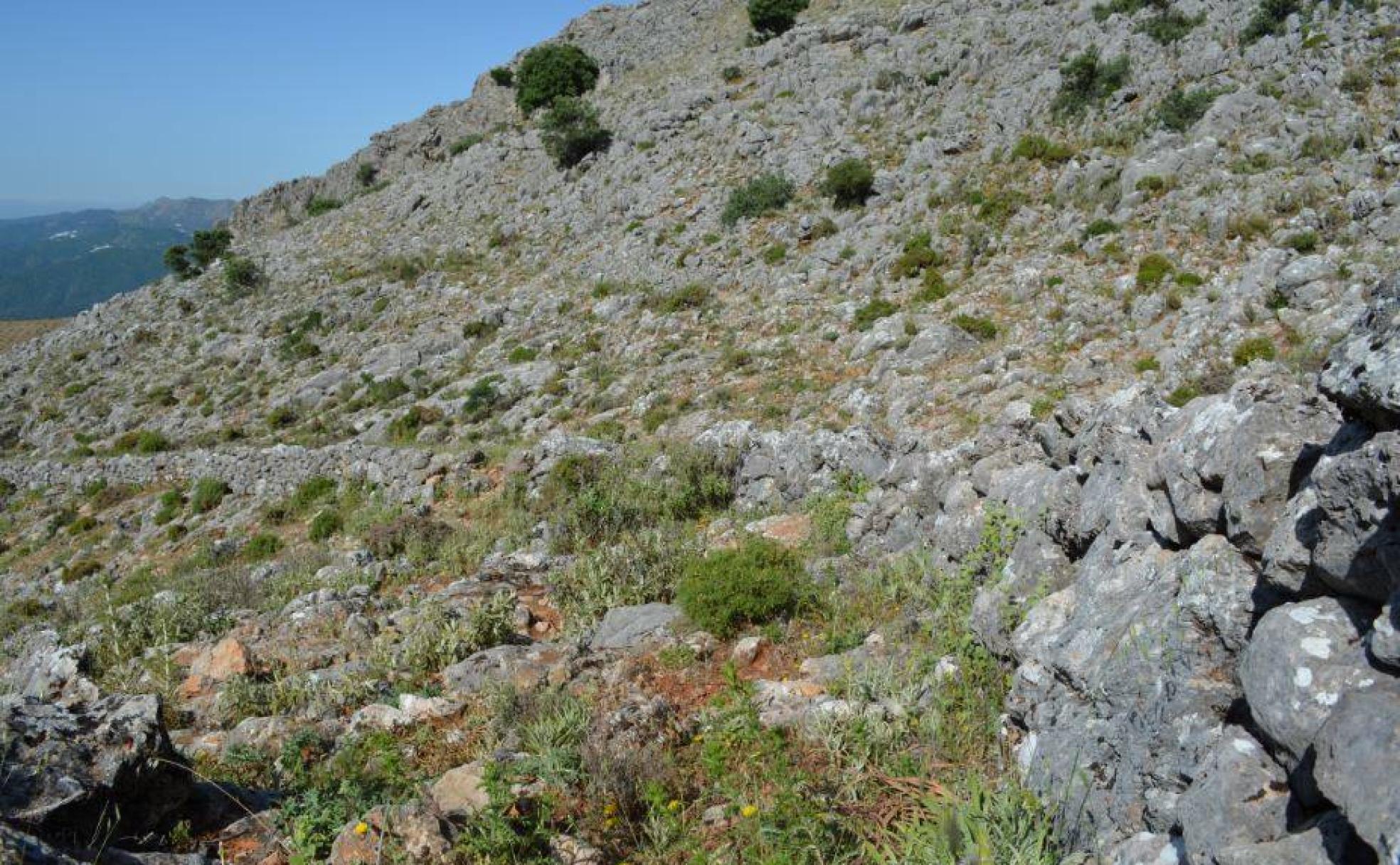 El muro de los franceses tuvo 1400 metros de longitud aproximadamente.