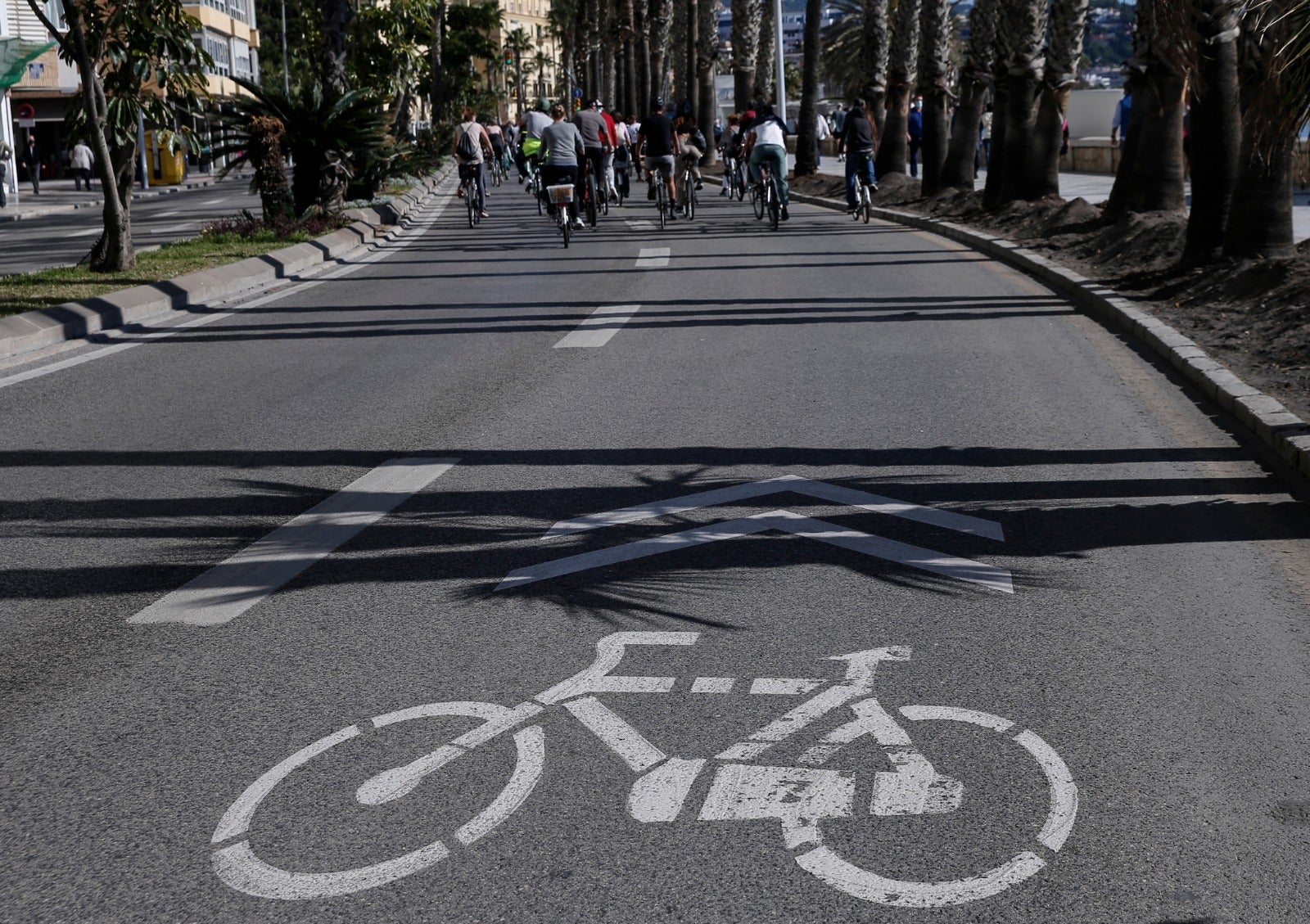 Más de un millar de ciclistas reclaman carriles bici segregados del tráfico durante una 'bicifestación' celebrada en la capital