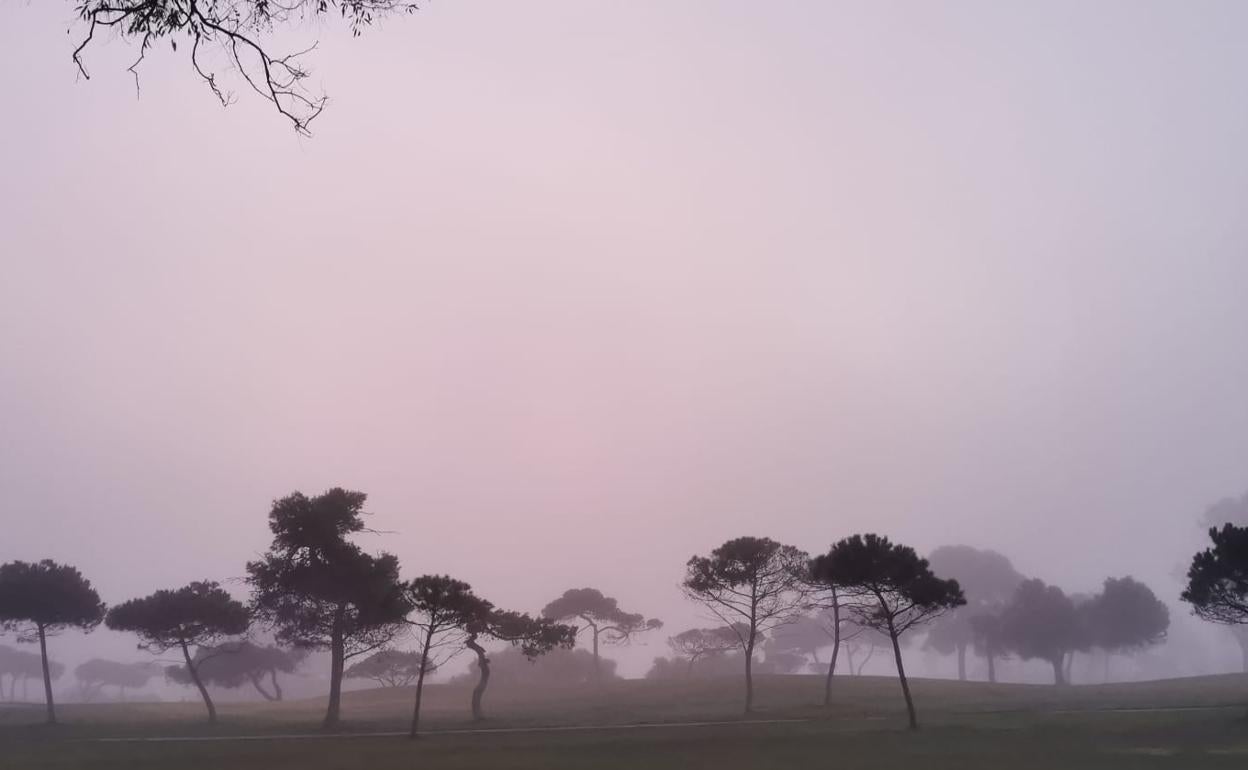 El taró cubrió esta mañana el campo de golf de Guadalmar. 