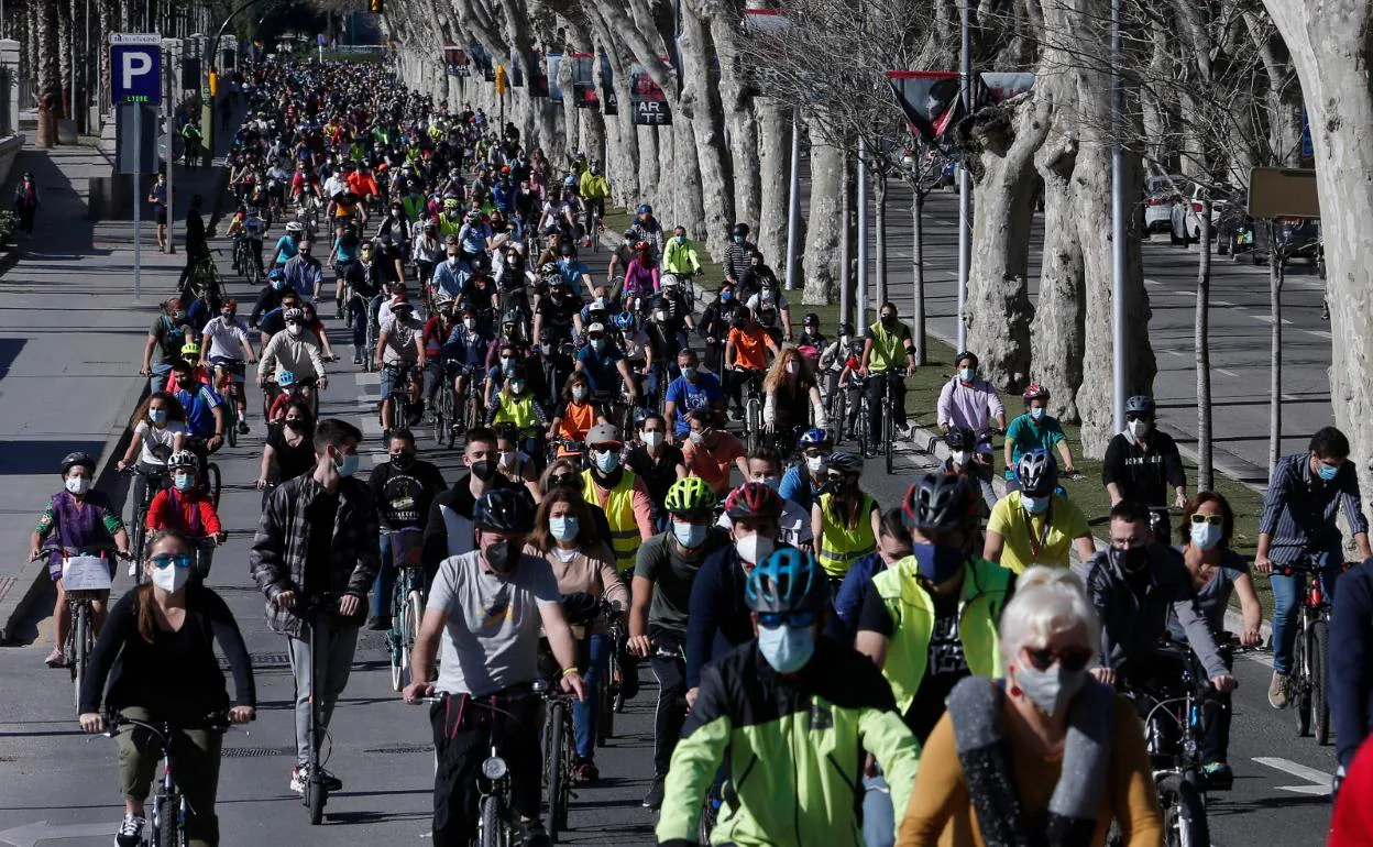 Hasta 8.000 personas secundaron la 'bicifestación' del pasado domingo en Málaga. 