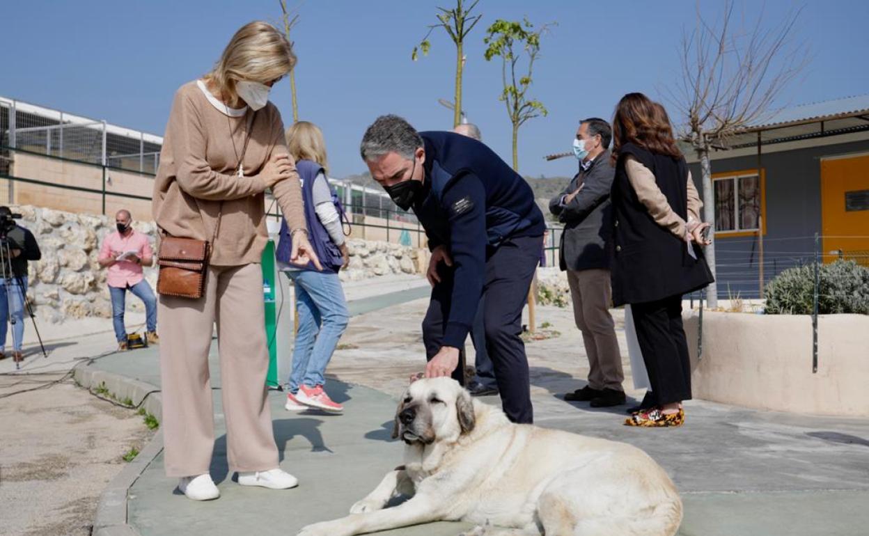 Elías Bendodo acaricia un mastín bajo la mirada de Esperanza Oña, este viernes, en la Sociedad Protectora de Animales y Plantas de Málaga. 