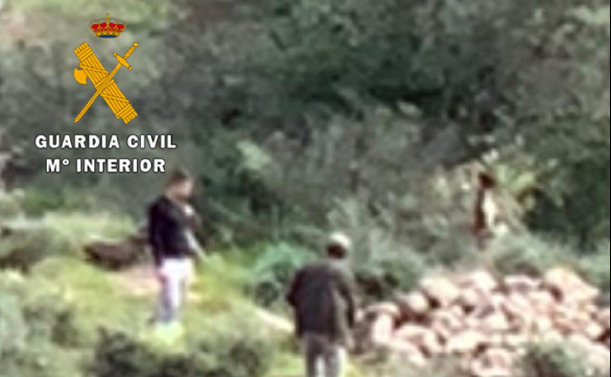 Imagen de los hechos difundidas por la Guardia Civil. 