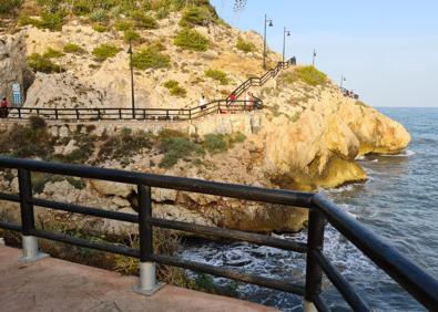 Imagen secundaria 1 - La siempreviva malagueña, la planta que quiere resistir en la costa más abrupta
