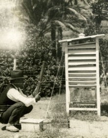 Imagen secundaria 2 - Arriba, aspecto actual de la antigua finca, donde hay un complejo deportivo con campo de fútbol, pabellón y piscina climatizada; abajo a la izquierda, finca experimental con viñas resistentes a la filoxera, y a la derecha, la estación meteorológica de la finca. 