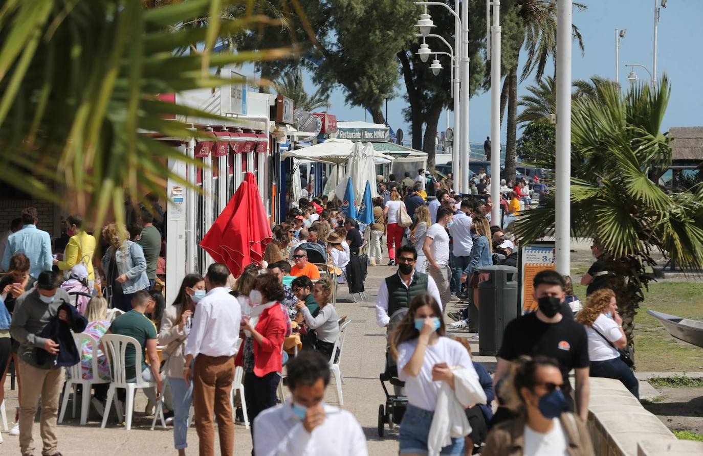 Gran ambiente en los bares y restaurantes de Málaga 