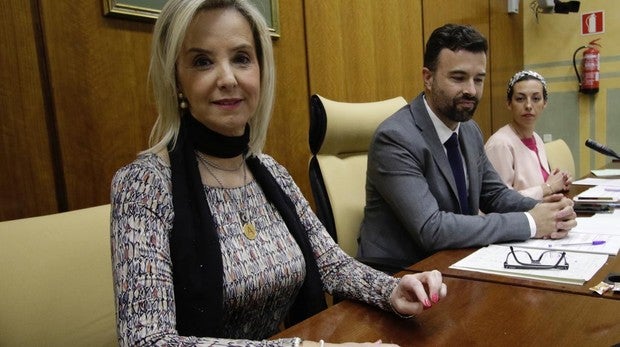 La fiscal superior de Andalucía, Ana Tárrago, en una imagen de archivo.