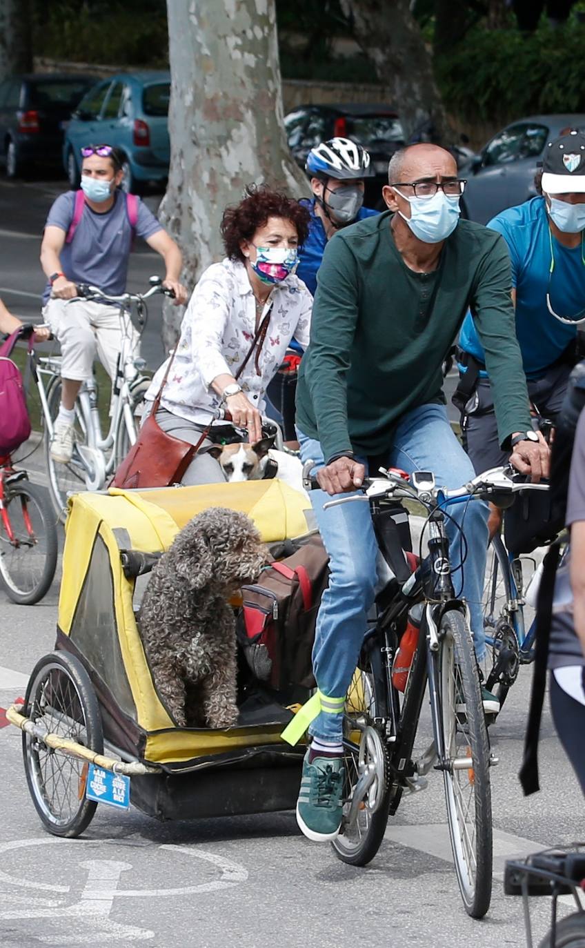 Ruedas Redondas ha celebrado este domingo la segunda 'bicifestación'. 