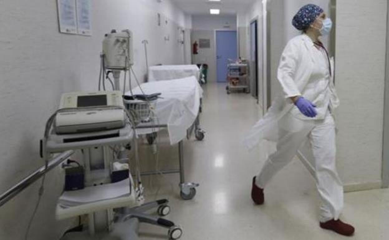 Coronavirus: El pronóstico de Fernando Simón sobre la mortalidad cero por Covid en España