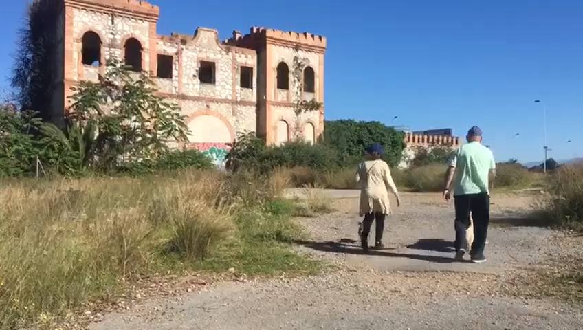 la simbólica portada del Benítez, tomada por los vándalos y la vegetación.