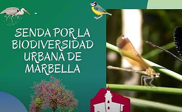 Videos sobre la biodiversidad urbana de Marbella. 