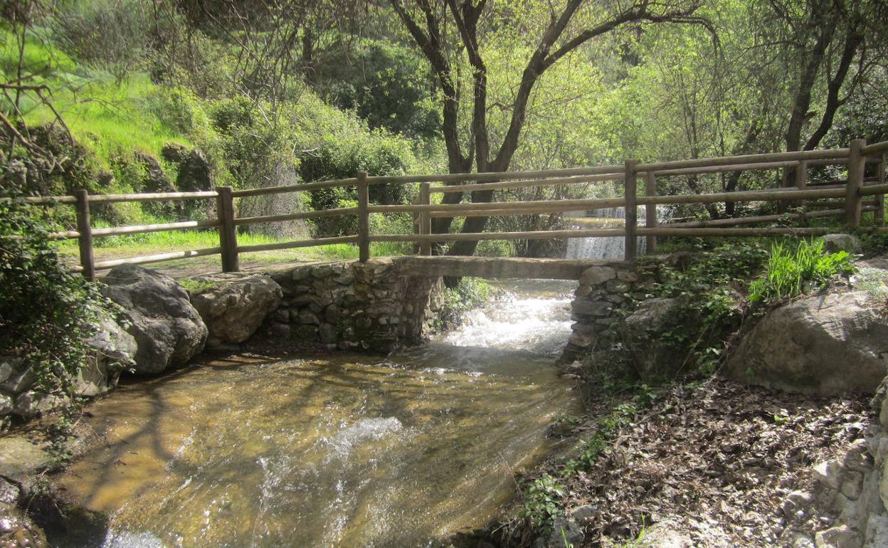 El arroyo del Alcázar recorre buena parte del territorio de Alcaucín. 