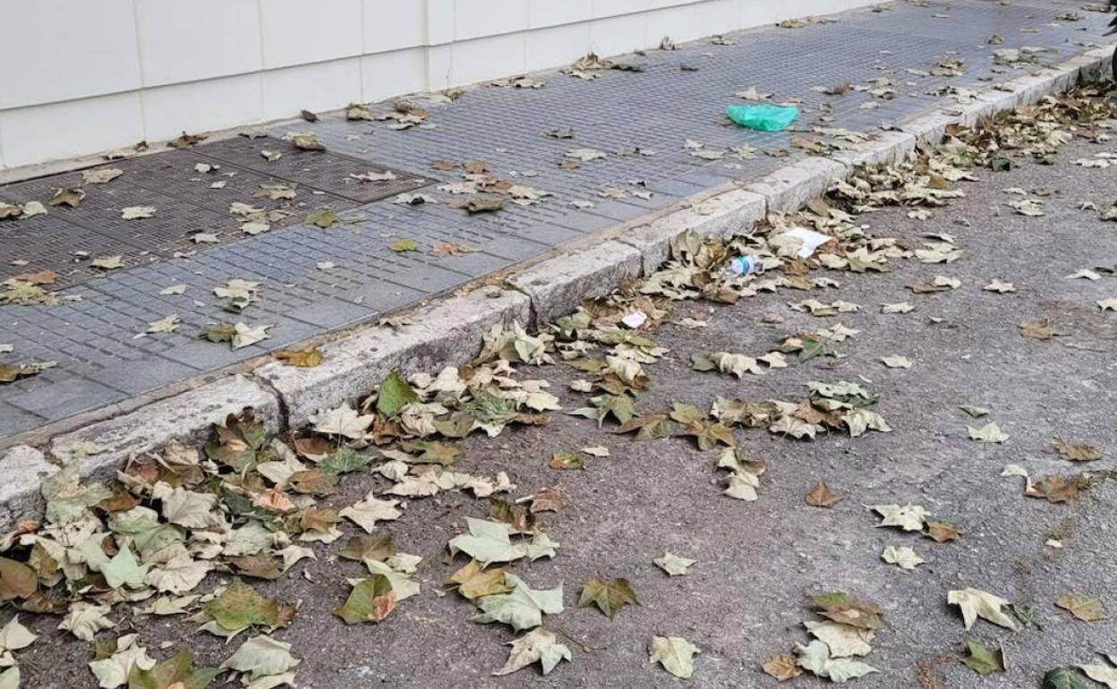 Vista de las hojas y suciedad en el parking de motos. 