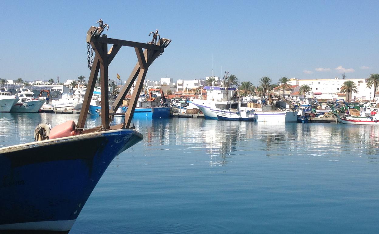 Imagen del puerto pesquero de Caleta de Vélez. 