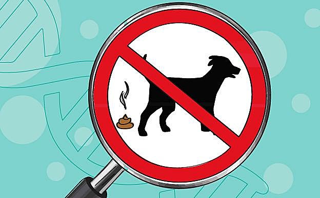 Análisis de ADN a los perros para limpiar de heces las calles