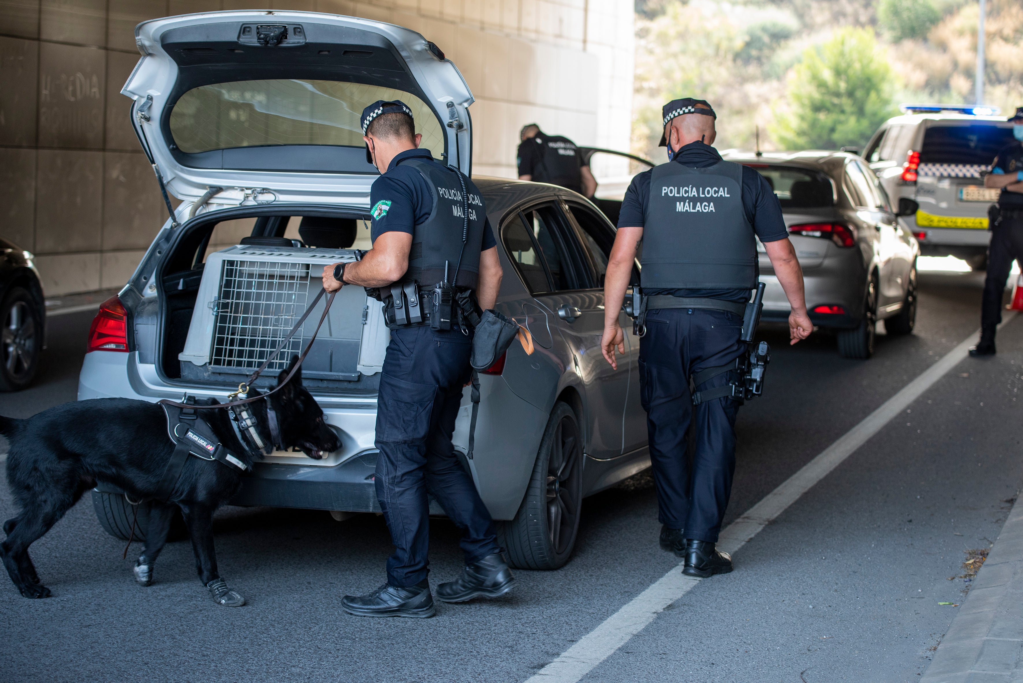 El Grupo Operativo de Apoyo de La Policía Local está formado por medio centenar de efectivos que se enfrentan a las situaciones de máxima exigencia en materia de seguridad en la capital malagueña