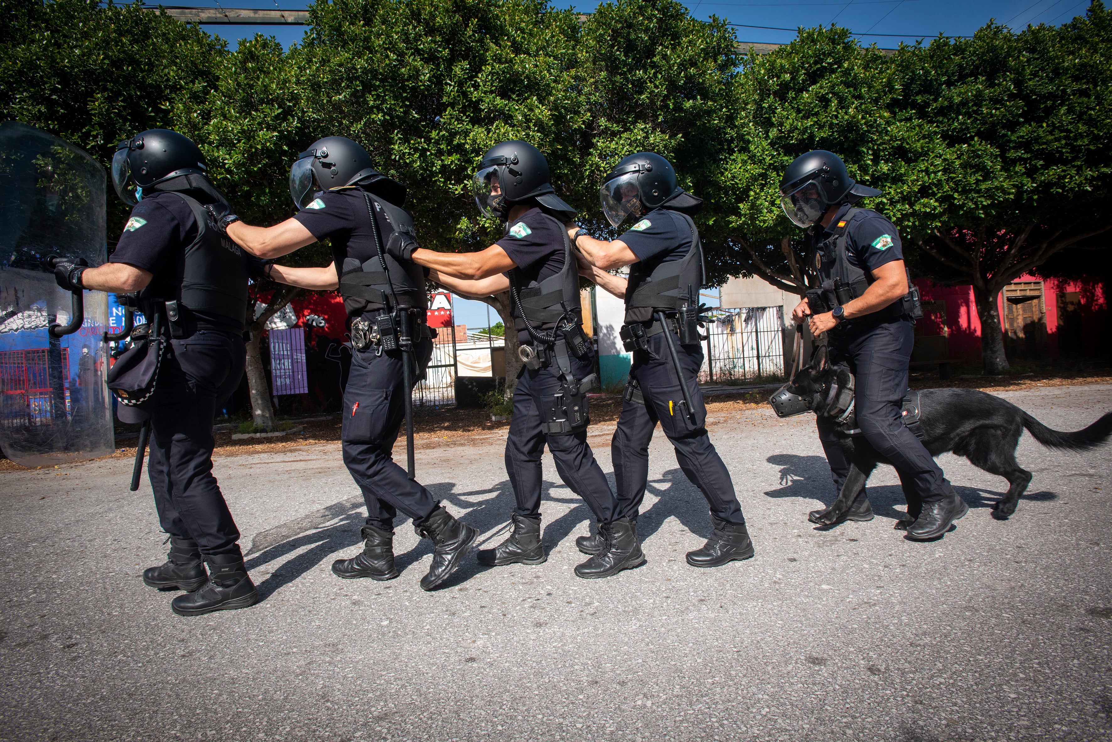 El Grupo Operativo de Apoyo de La Policía Local está formado por medio centenar de efectivos que se enfrentan a las situaciones de máxima exigencia en materia de seguridad en la capital malagueña