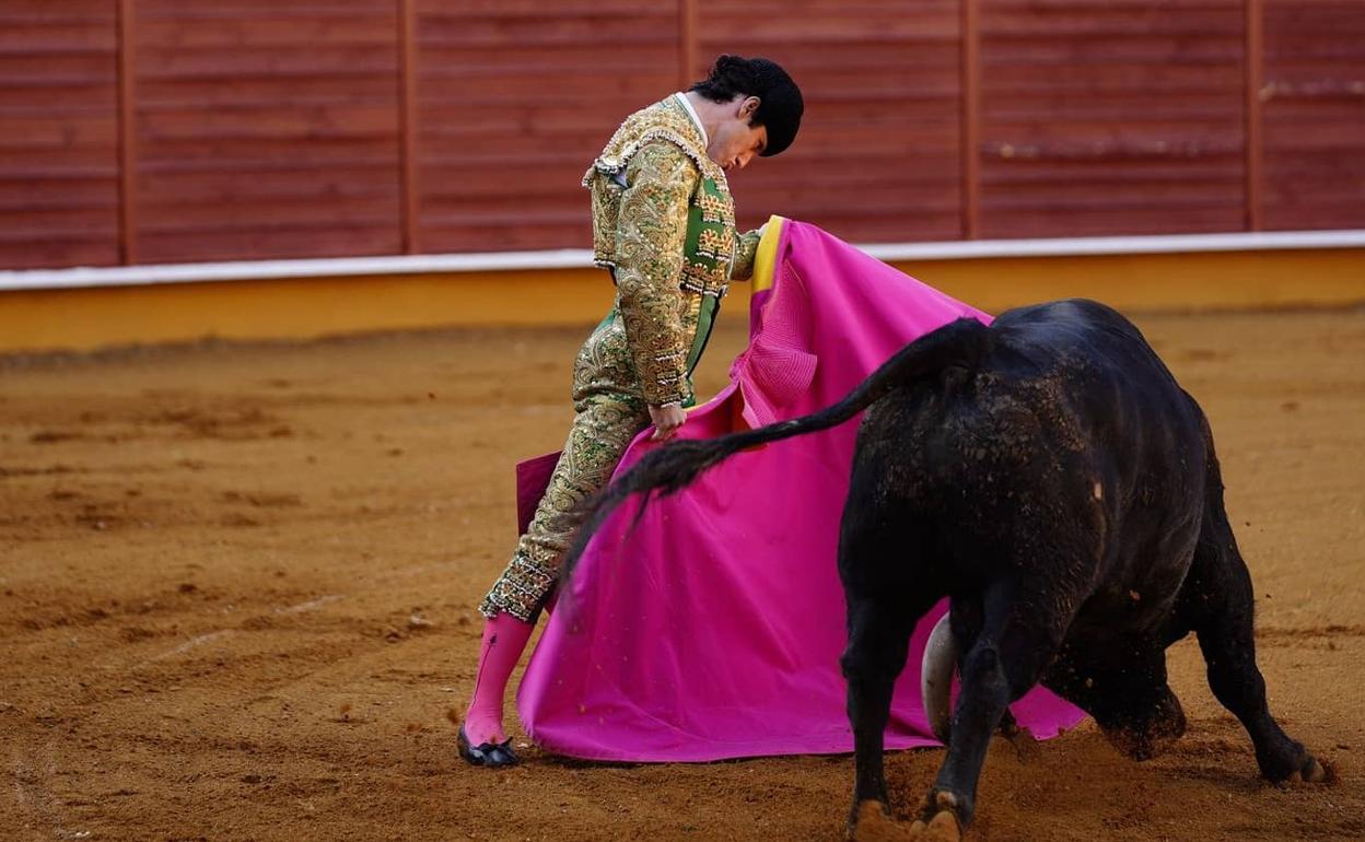 Santana toreando a la verónica durante la semifinal.