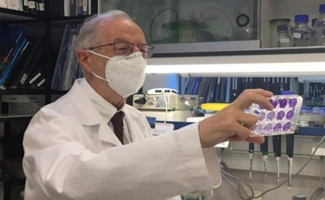 El virólogo y profesor de Investigación del CSIC en el Centro Nacional de Biotecnología (CNB-CSIC), Luis Enjuanes Sánchez