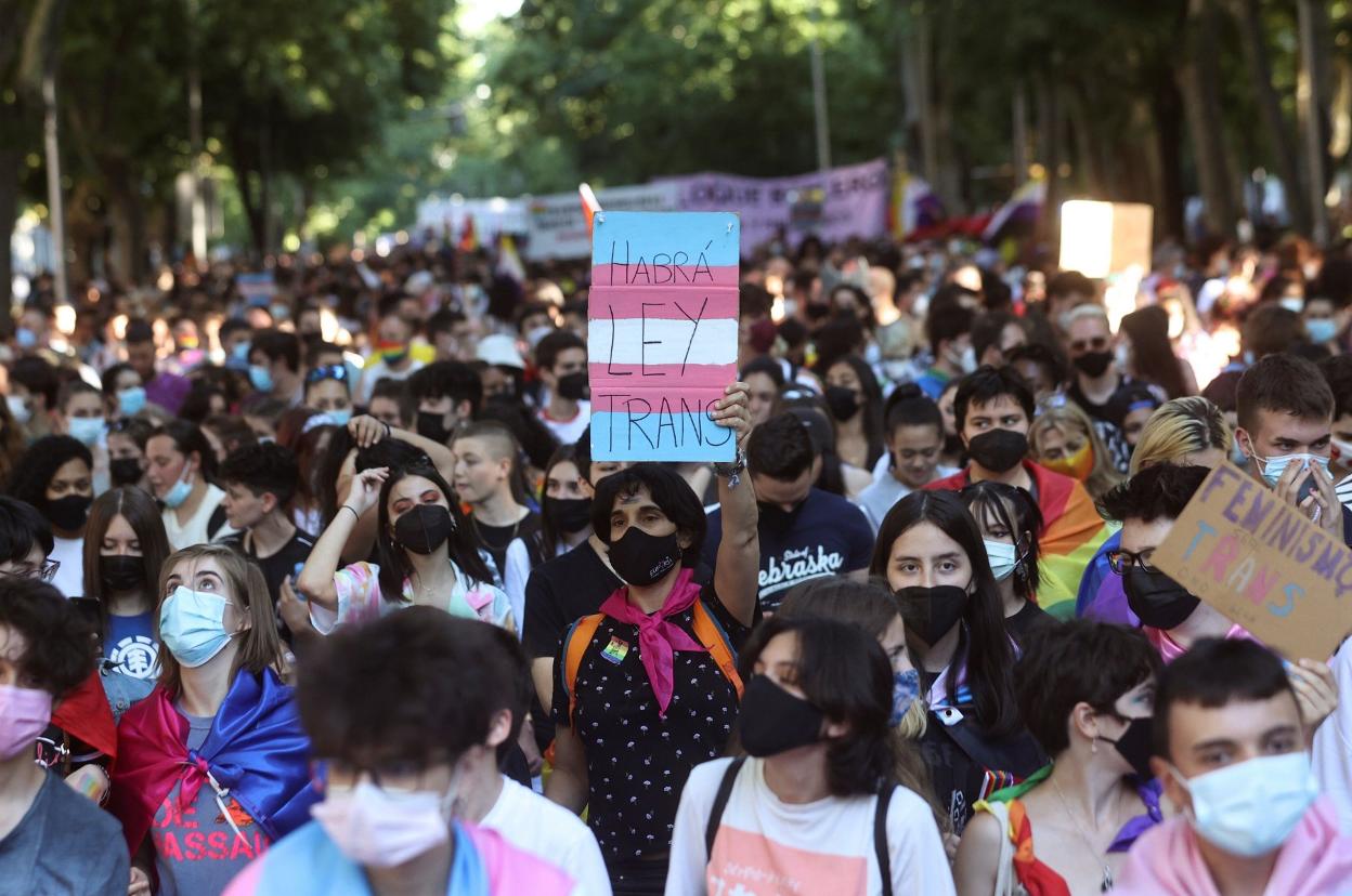 Manifestantes a favor de la ley Trans. Rodrigo Jiménez / efe