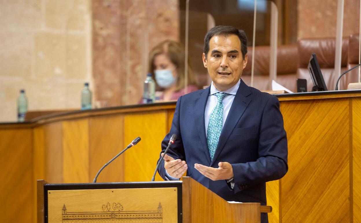 El portavoz parlamentario del PP-A, José Antonio Nieto. 